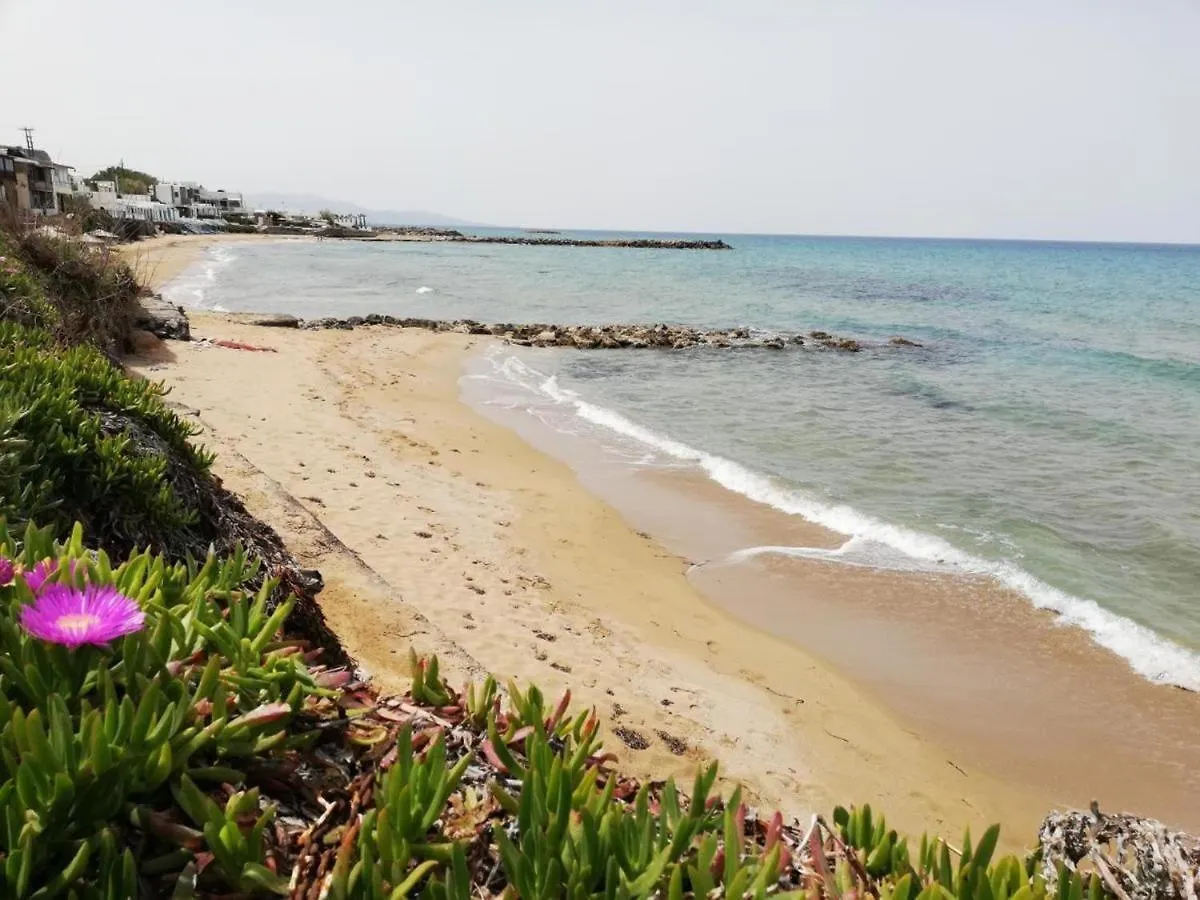 Panasia Seaview Apartments Kokkini Hani